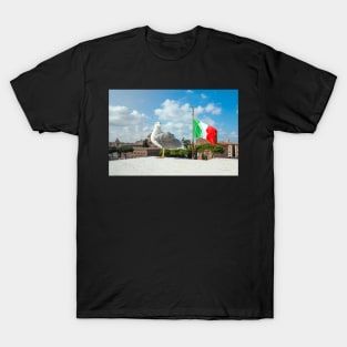 seagull at the top of palace in Piazza Venezia in Roma, Italy T-Shirt